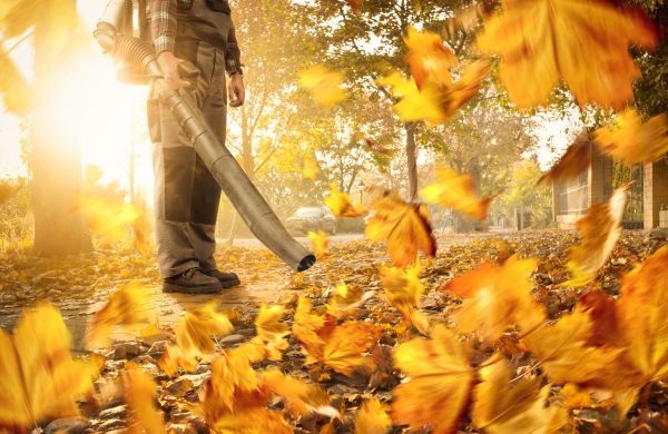 Cost of Leaf Blowing Service in West Fargo