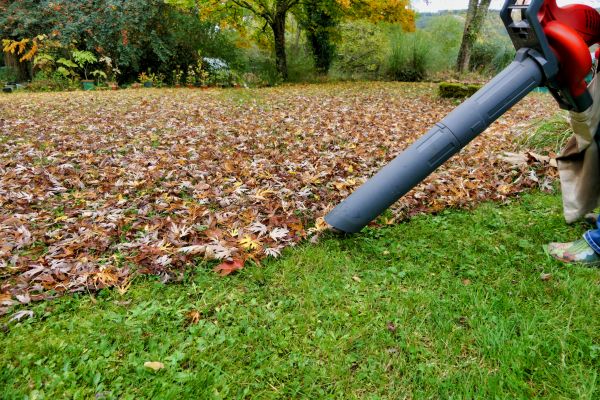 Cost of Leaf Vacuuming Service in West Fargo