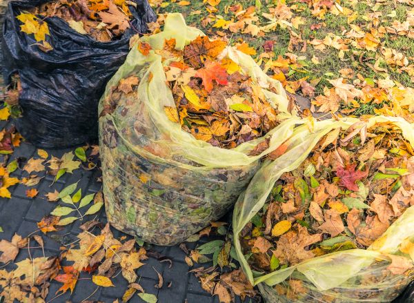 Cost of Yard Cleanup Service in West Fargo