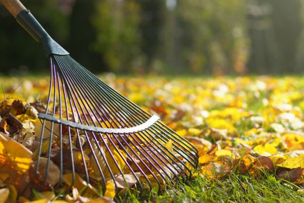 Cost of Leaf Raking Service in West Fargo