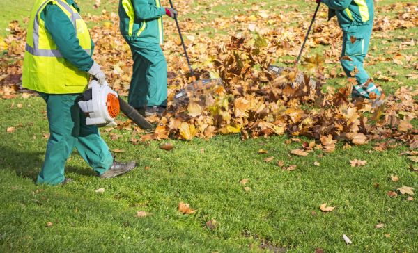 Cost of Leaf Maintenance in West Fargo