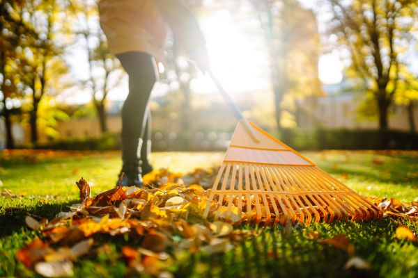 Cost of Leaves Raking in West Fargo