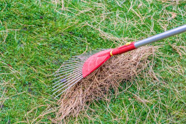 Cost of Yard Raking in West Fargo