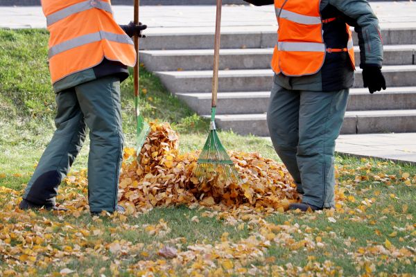 Cost of Leaf Hauling Service in West Fargo
