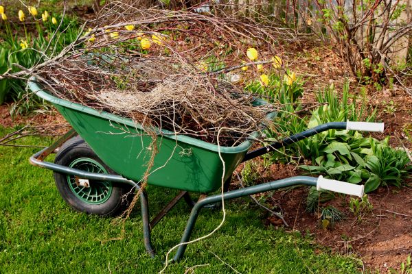 Cost of Lawn Waste Removal in West Fargo