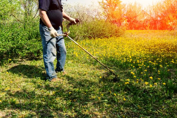 Cost of Yard Clearing Service in West Fargo
