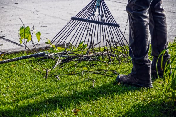 Cost of Yard Debris Cleanup in West Fargo