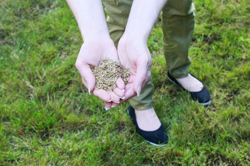 Lawn Health Benefits