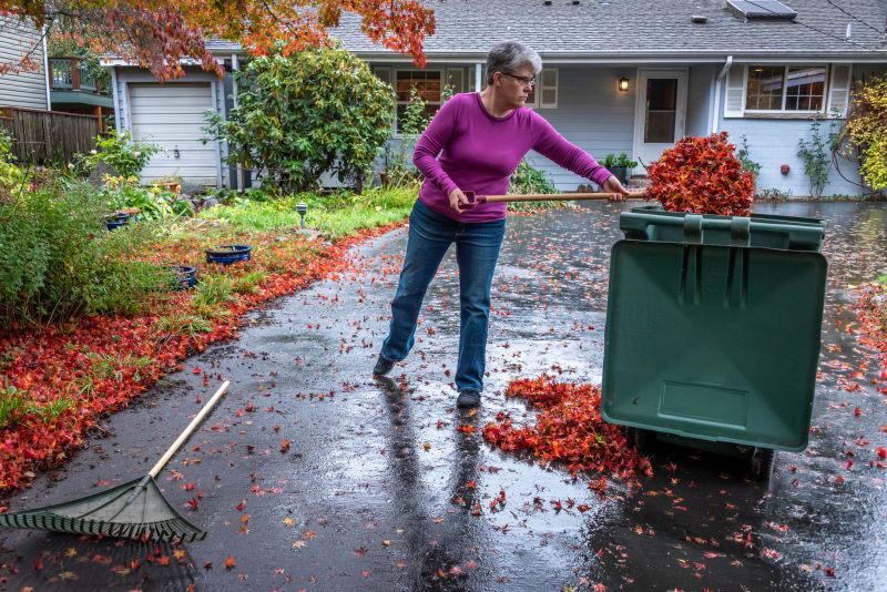 Autumn Yard Preparation