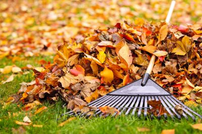 Autumn Yard Care